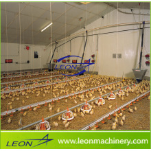 Leon series chicken house broiler feeding system for poultry farm